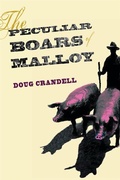 Cover: The Peculiar Boars of Malloy - Northern Illinois University Press