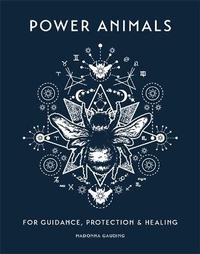 Enlarge image Cover: Power Animals - Pyramid