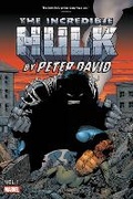 Cover: Incredible Hulk by Peter David Omnibus Vol. 1 - Marvel Comics