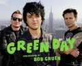 Cover: Green Day - Abrams Image