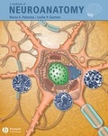 Bild: A Textbook of Neuroanatomy - Wiley-Blackwell