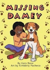 Enlarge image Cover: Missing Damey - Library for All