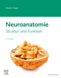 Abbildung von: Neuroanatomie - Urban & Fischer