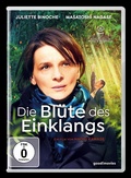 Cover: Die Bl&uuml;te des Einklangs - Indigo