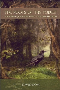 Abbildung von: The Roots of the Forest - Lulu.com