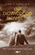 Cover: Darllen yn Well: Yna Digwyddodd Rhywbeth - Stori am Ddementia Cyffredin - Y Lolfa