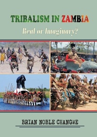 Abbildung von: Aids Rdr Zambia;Bitter Lesson - Springer