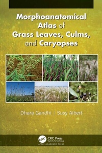 Abbildung von: Morphoanatomical Atlas of Grass Leaves, Culms, and Caryopses - Apple Academic Press Inc.