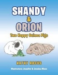 Cover: Shandy & Orion - Black Lacquer Press & Marketing Inc.