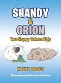 Cover: Shandy & Orion - Black Lacquer Press & Marketing Inc.