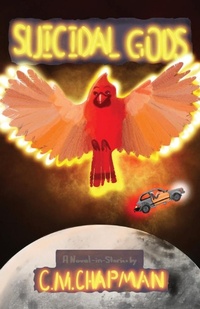 Enlarge image Cover: Suicidal Gods - Unsolicited Press