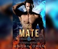 Cover: The Mate - Dreamscape Media