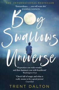 Abbildung von: Boy Swallows Universe - The Borough Press