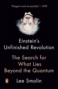 Abbildung von: Einstein's Unfinished Revolution - Penguin USA
