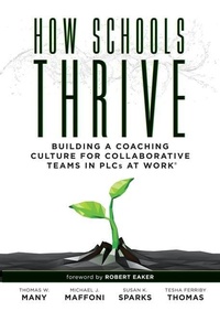 Enlarge image Cover: How Schools Thrive - Solution Tree