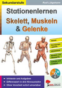 Abbildung von: Stationenlernen Skelette, Muskeln und Gelenke - KOHL VERLAG Der Verlag mit dem Baum