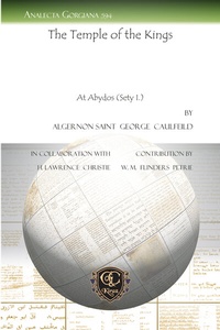 Enlarge image Cover: The Temple of the Kings - Gorgias Press