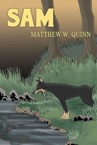 Enlarge image Cover: Sam - Matthew Quinn