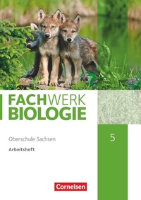 Abbildung von: Fachwerk Biologie - Sachsen - 5. Schuljahr - neuer Lehrplan - Cornelsen Verlag