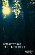 Cover: The Afterlife - Worple Press