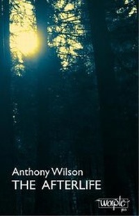 Enlarge image Cover: The Afterlife - Worple Press