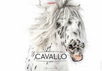 Abbildung von: Best of Cavallo 2020 - tmms-Verlag