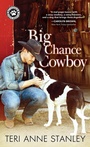 Cover: Big Chance Cowboy - Sourcebooks Casablanca