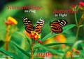 Cover: Schmetterlinge im Flug 2020 - Butterflies in Flight 2020 - Colouria SIGRID DAUTH