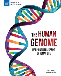 Abbildung von: The Human Genome - Nomad Press (VT)