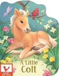 Cover: A Little Colt - Cottage Door Press