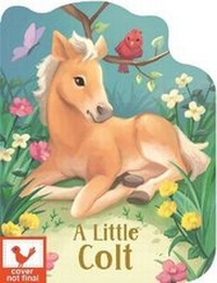 Enlarge image Cover: A Little Colt - Cottage Door Press