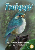 Cover: Twiggy - Library for All