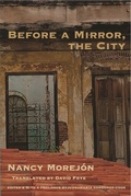 Cover: Before A Mirror, The City - White Pine Press