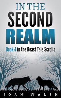 Enlarge image Cover: In the Second Realm - XinXii