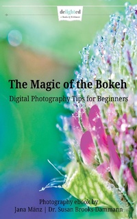Abbildung von: The Magic of the Bokeh - XinXii