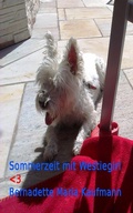 Cover: Sommerzeit mit Westiegirl - XinXii