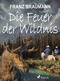 Cover: Die Feuer der Wildnis - Saga Egmont