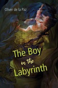 Cover: Boy in the Labyrinth - University of Akron Press