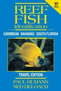 Cover: Reef Fish Identification -- Travel Edition - New World Publications Inc.,U.S.