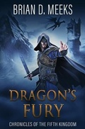 Cover: Dragon's Fury - Brian Meeks