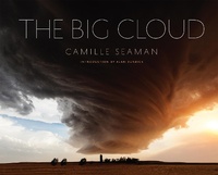 Abbildung von: The Big Cloud - Princeton Architectural Press