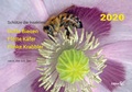 Cover: Sch&uuml;tze die Insekten: dufte Bienen, flotte K&auml;fer, flinke Krabbler - Zerr, Sibylle