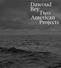 Cover: Dawoud Bey - Yale University Press