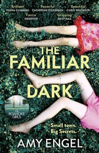 Enlarge image Cover: The Familiar Dark - Hodder Paperback