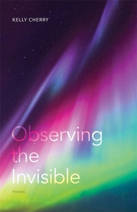 Enlarge image Cover: Observing the Invisible - Zando - Crooked Media Reads