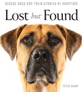 Cover: Lost But Found - Macmillan Australia