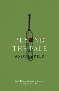 Enlarge image Cover: Beyond the Pale - Matador