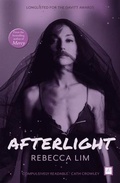 Cover: Afterlight - The High Street Publishing Company