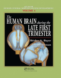 Abbildung von: The Human Brain During the Late First Trimester - CRC Press