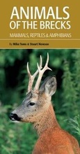 Cover: Animals of the Brecks: Mammals, Reptiles & Amphibians - British Trust for Ornithology